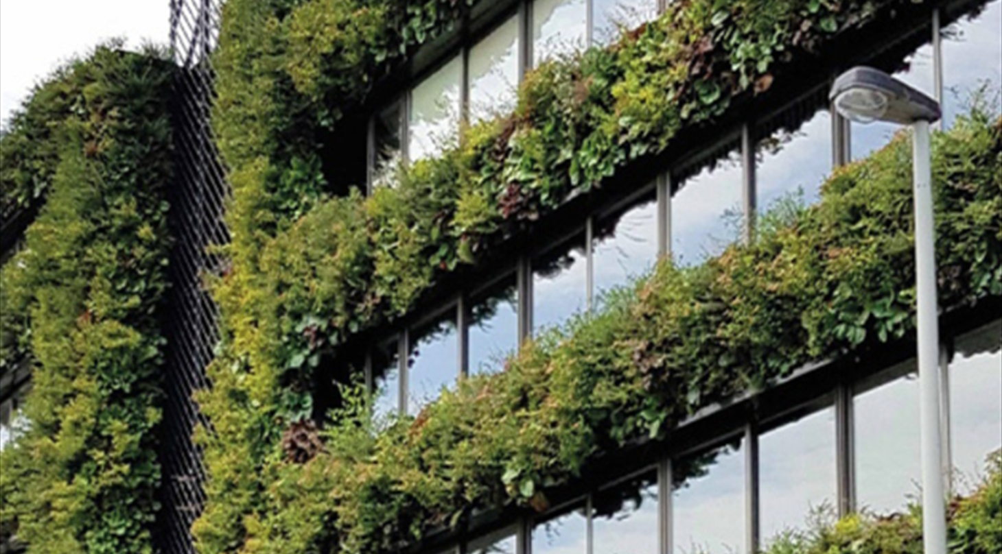 Vanding af grønne vægge